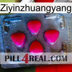 Ziyinzhuangyang 13